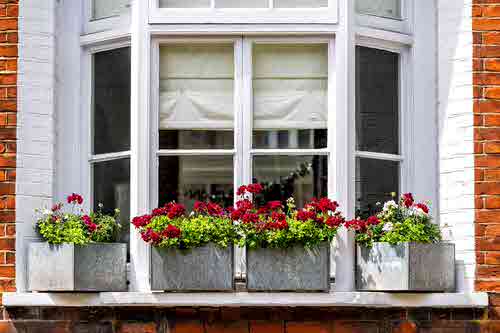 Window Garden Pictures 3