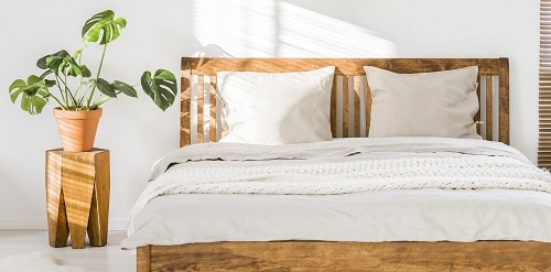 Things that'll Solve All Your Houseplant Problems 2