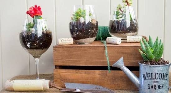 Wine Glass Terrariums 4