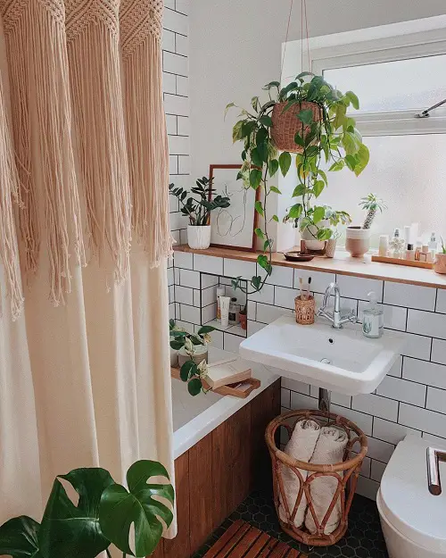 Amazing Pictures of Bathroom with Plants for Inspiration