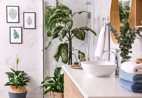 Dieffenbachia and Peace Lilies Stealing the Show!