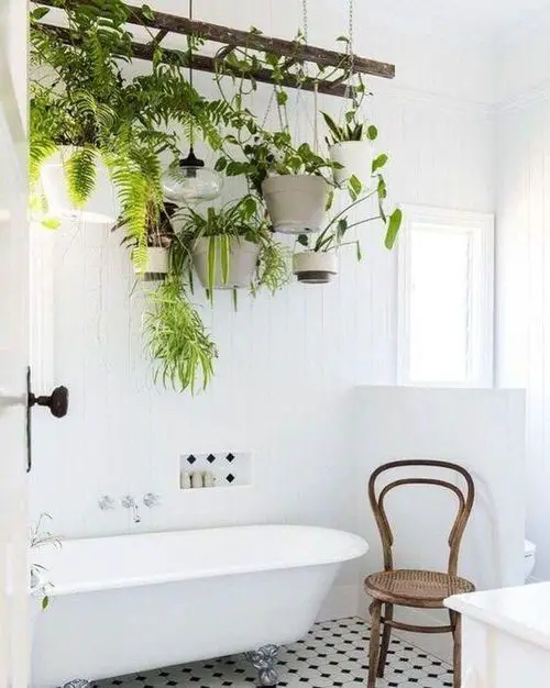 Pots Hanging from a Suspended Wooden Ladder