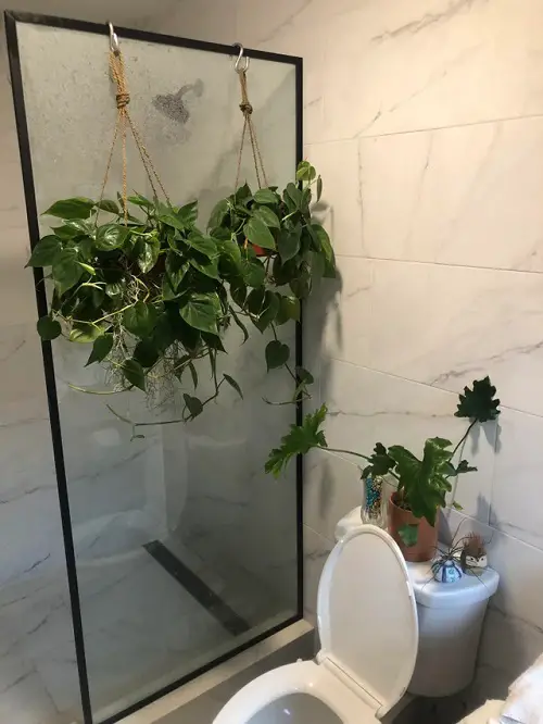 best Awesome Pictures of Bathroom with Plants for Inspiration