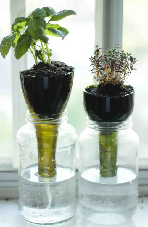 DIY Indoor Self Watering Planter Ideas 7