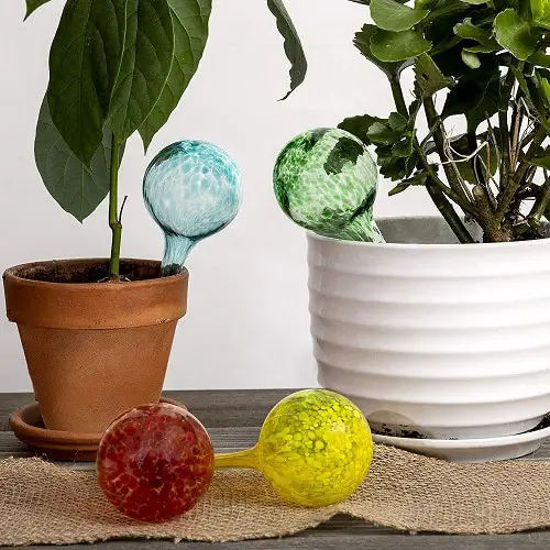 Things that'll Solve All Your Houseplant Problems 8