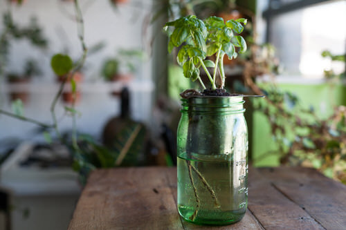DIY Indoor Self Watering Planter Ideas 8
