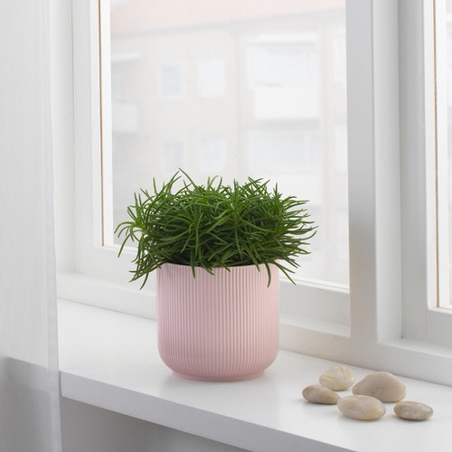 How IKEA Pots Change the Look of Indoor Plants 8