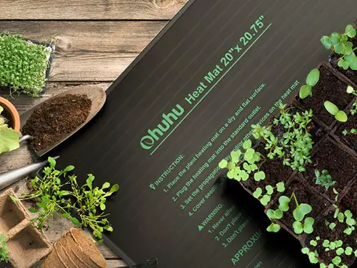 Things that'll Solve All Your Houseplant Problems 9