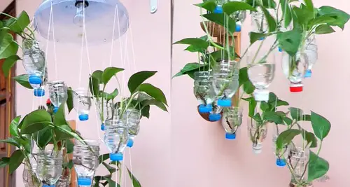 Make Your Own Hanging Garden 8