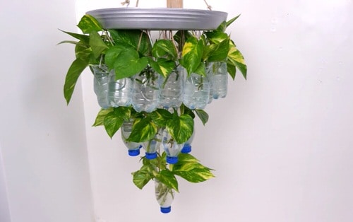Make Your Own Hanging Garden 9