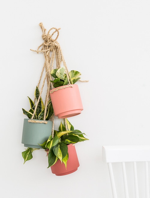 Make Your Own Hanging Garden