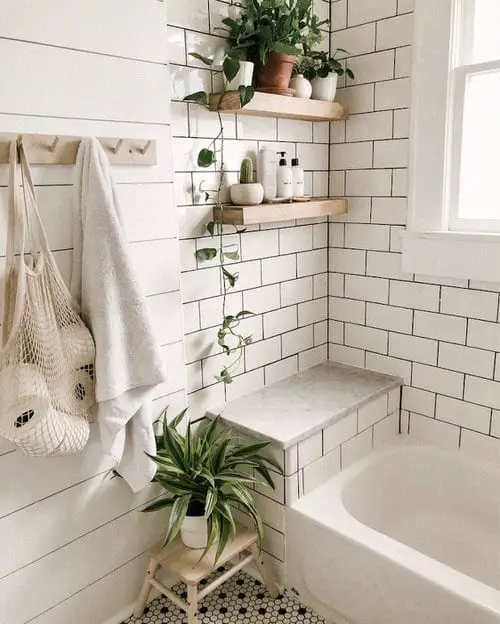 Plants on Wooden Shelves