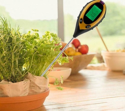 Things that'll Solve All Your Houseplant Problems 11
