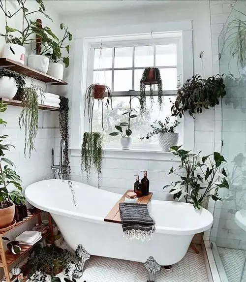 Awesome Pictures of Bathroom with Plants for Inspiration