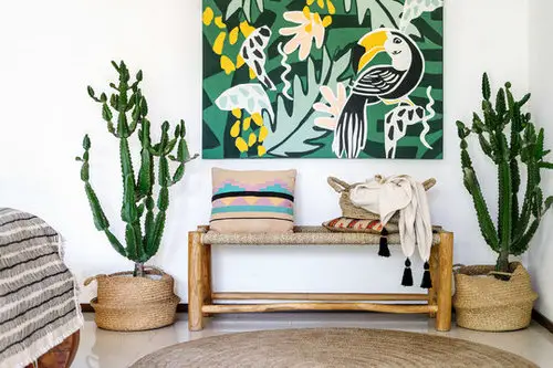 Different Types of Cactus Plants 17