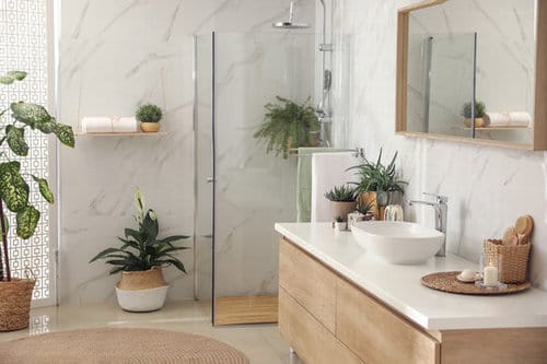 Pictures of Ferns in Bathroom 2