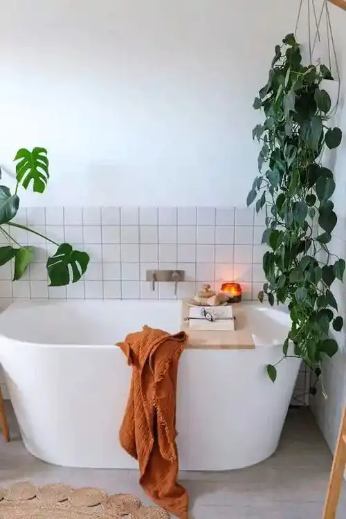Amazing Pictures of Bathroom with Plants