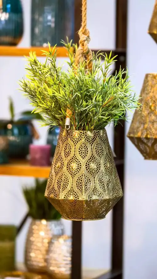 Pictures of Indoor Plants in Metallic Planters 3