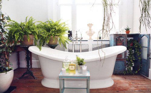 Pictures of Ferns in Bathroom 4