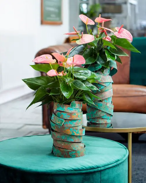 Neon Houseplants 5