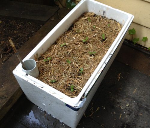 DIY Indoor Self Watering Planter Ideas 5