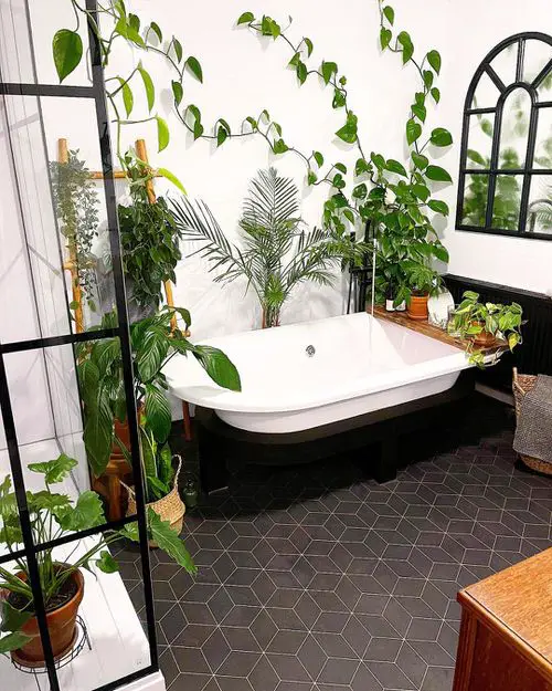 A Luxurious Bathroom with Tropical and Climbing Plants