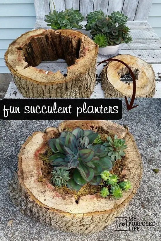 Tree Trunk Planter