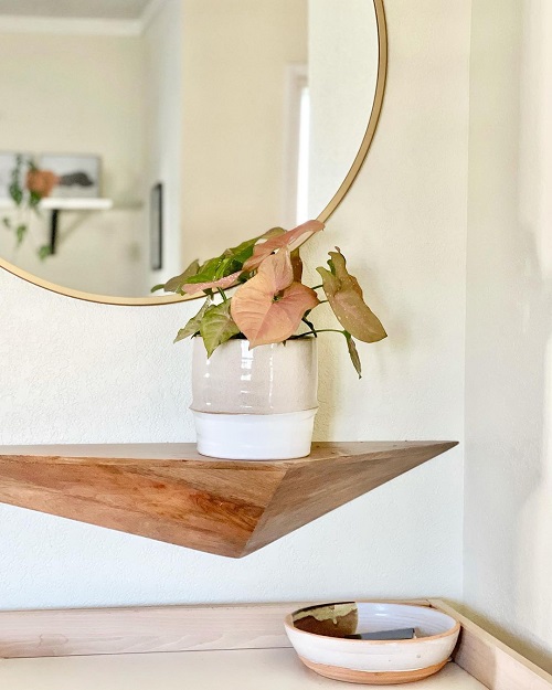 Ways to Display Pink Syngonium near Mirror