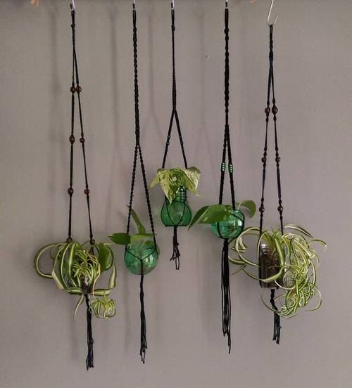 Hanging Mason Jars with Trailing Plants
