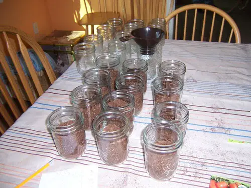 DIY Seed Starting Hacks 11