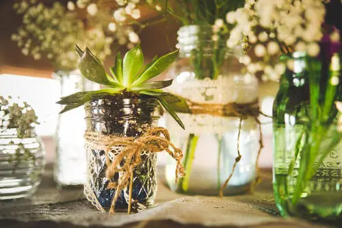 Succulent in Mason Jar Wrapped with a Jute String