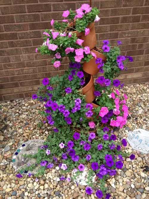 Make a Beautiful Petunia Stand