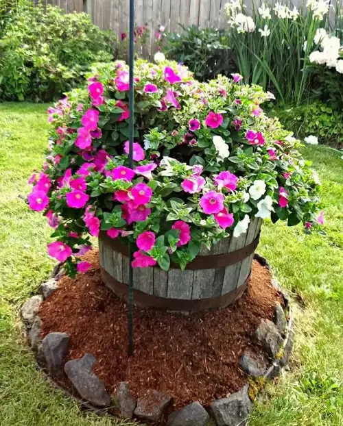 Make a Petunia Centerpiece