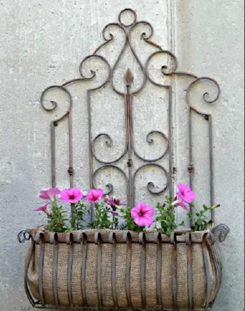 Petunia Wall Planter
