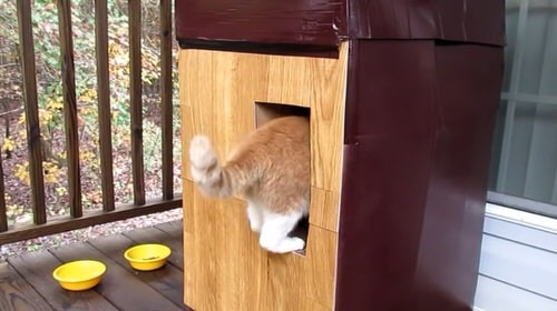 DIY Outdoor Cat House Ideas-Easy Winter Cat House