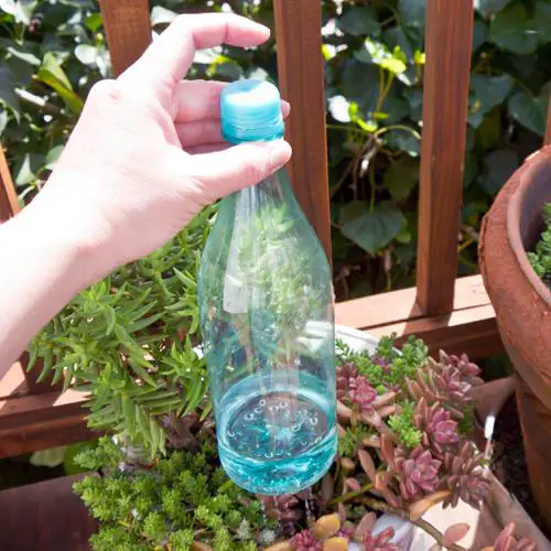 DIY Watering Can Ideas
