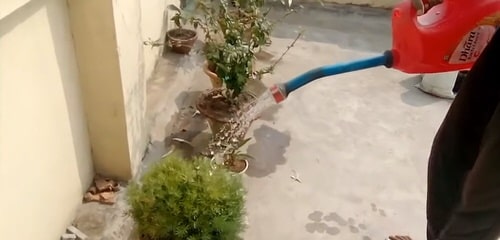 DIY Watering Can Ideas 2