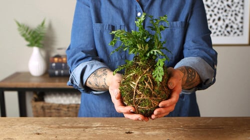 Ideas to Steal from Japanese Zen Garden 2