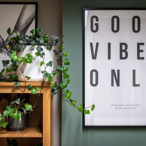 Low Maintenance Indoor Plant-English Ivy