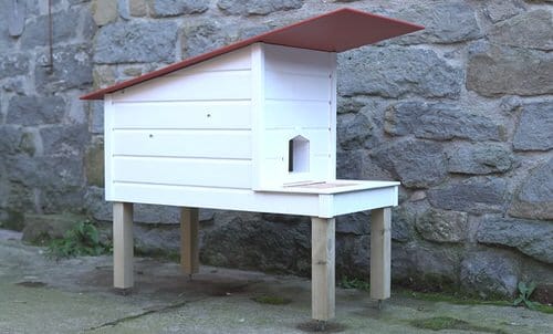 Outdoor Cat Shelter