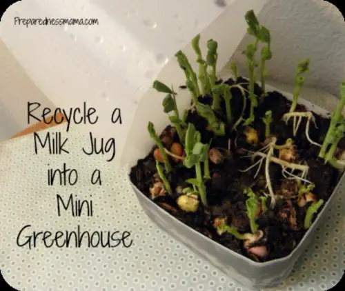 DIY Seed Starting Hacks 8