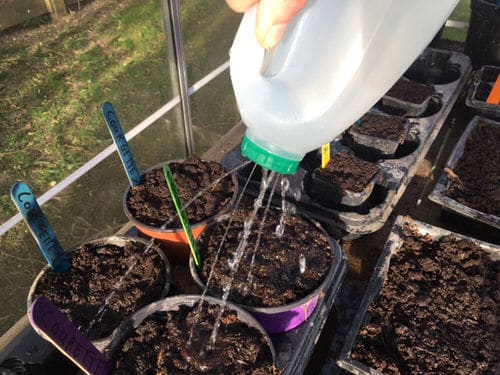 DIY Watering Can Ideas 6