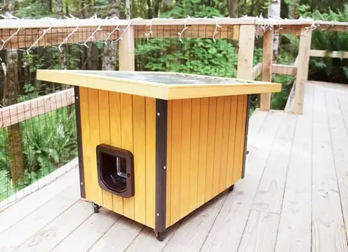 Modern Cat House