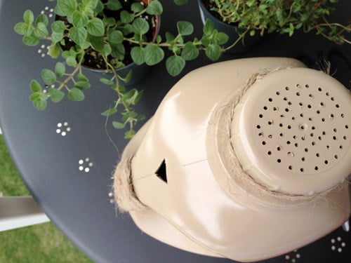 DIY Watering Can Ideas 7