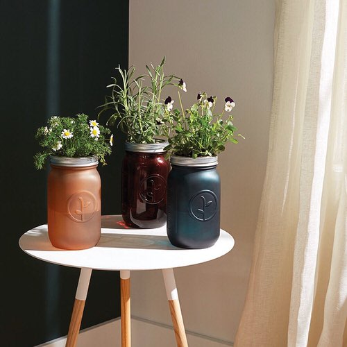 Mason Jars plant ideas