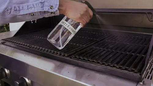 Amazing Vinegar Uses in BBQ Grill
