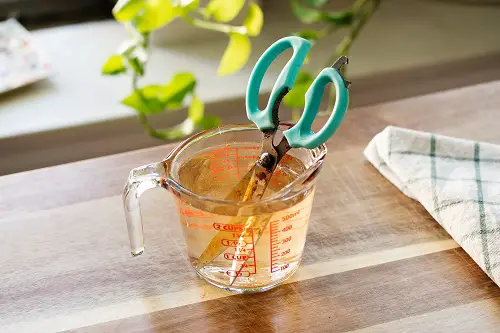 Vinegar Uses in the Home