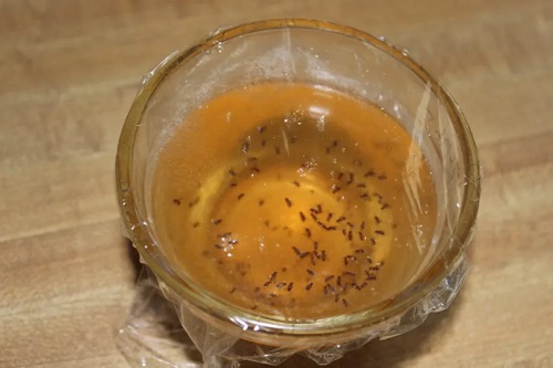 Amazing Vinegar Uses in Gardens and Homes 51
