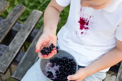 Get Rid of Berry Stains