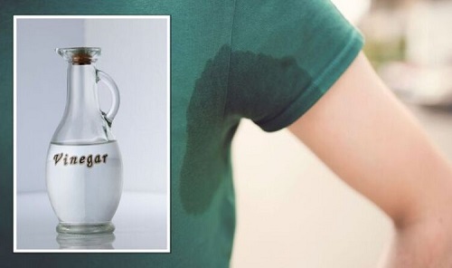 Amazing Vinegar Uses in Gardens and Homes 201